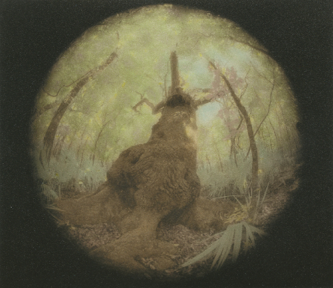 Artwork: Beginnings, Part 2 <p>Photograph printed by me in the darkroom using silver gelatin photographic paper. The image was then hand tinted using transparent oils. The photograph is framed in a silver/gold ornate wood frame. </p> Beginnings, Part 2