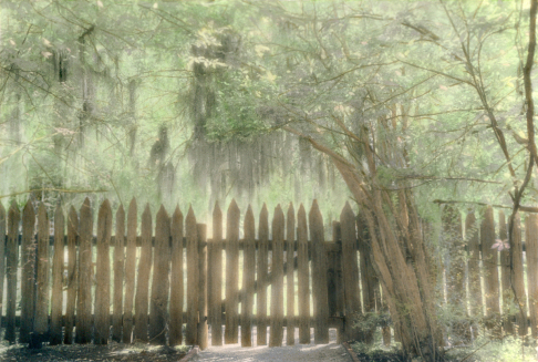 Artwork: Tranquility <p>This is a print of a black and white infrared hand tinted photograph. This photograph is framed. </p> Tranquility