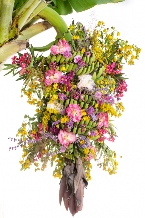 Artwork: Backyard Bananas Bouquet <p>More sizes are available upon request. Photography - Still Life - All digital prints are printed on archival paper using Epson archival pigmented inks and signed by RHR</p> Backyard Bananas Bouquet