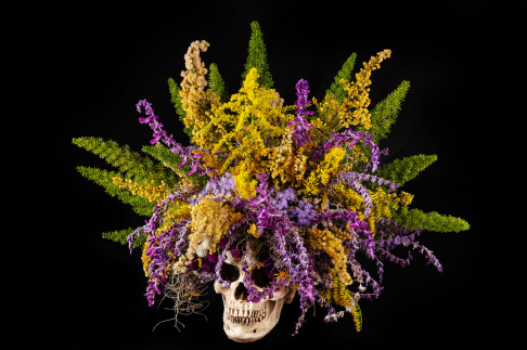 Artwork: Mardi Gras Jester Skull Bouquet - Black <p>Photography - Still Life - All digital prints are printed on archival paper using Epson archival pigmented inks and </p> Mardi Gras Jester Skull Bouquet - Black