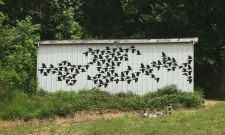 A Murder of Crows: Woodbury, TN / Main Image