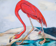 "Louisiana Flamingo" / Main Image