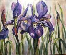 Antoinette's Irises / Main Image