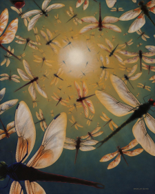 Dragonfly Sky / Main Image