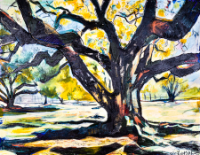 "Louisiana Live Oak Tree/ The Tree of Life" / Main Image