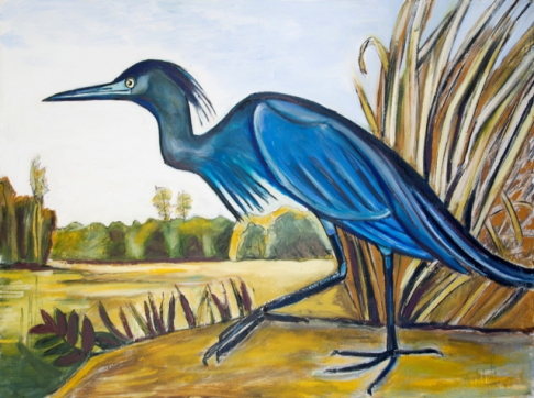 'Louisiana Blue Heron in Bayou Brush"