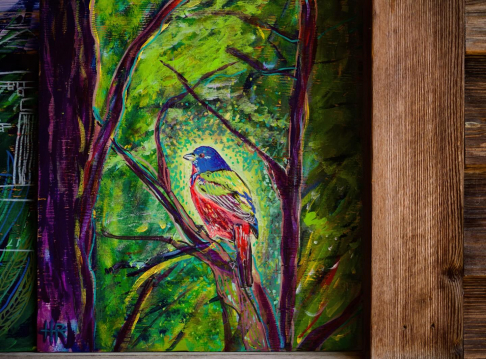 Painted Bunting