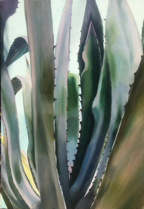 Agave for O'Keeffe
