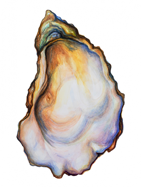 Blushing Oyster Original Painting