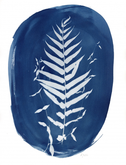 Banquette - Ferns & Cats Claw