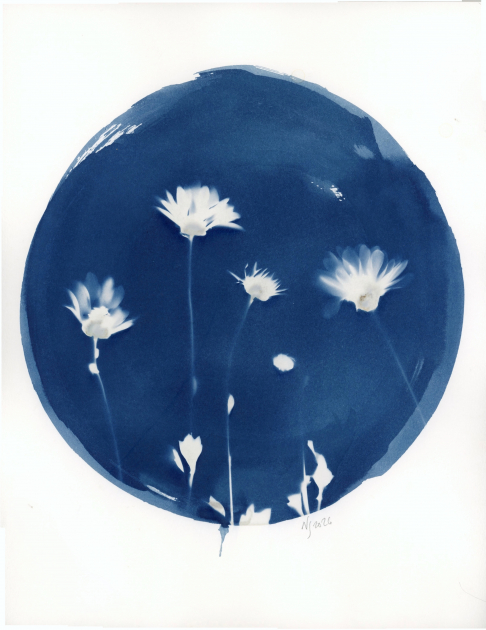 Banquette - Flowers