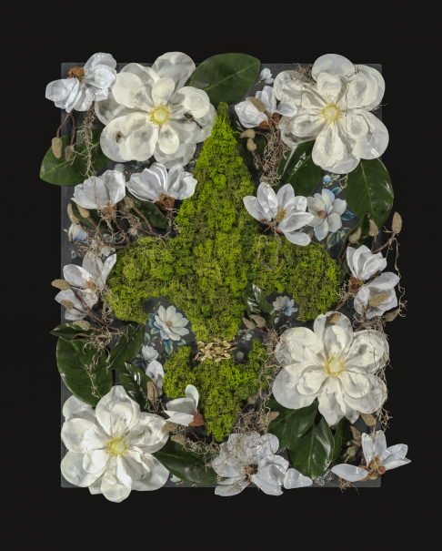 Magnolia Swamps (Light Green)