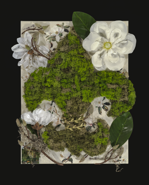 Magnolia Swamps and a Shotgun home
