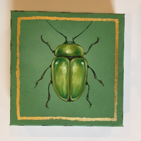 Jewel Beetle 1