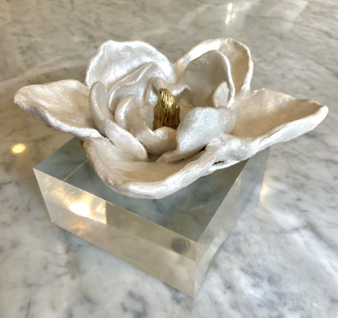 Magnolia