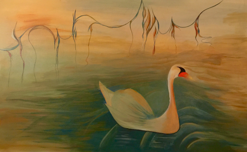 The Swan in Audubon Park