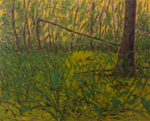 Jean Lafitte Swamp Study #8