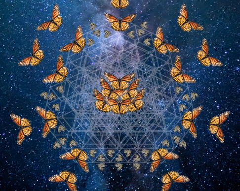Monarch Tessellation Look & Breathe Series 2