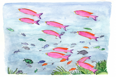 School of Neon Pink Fish