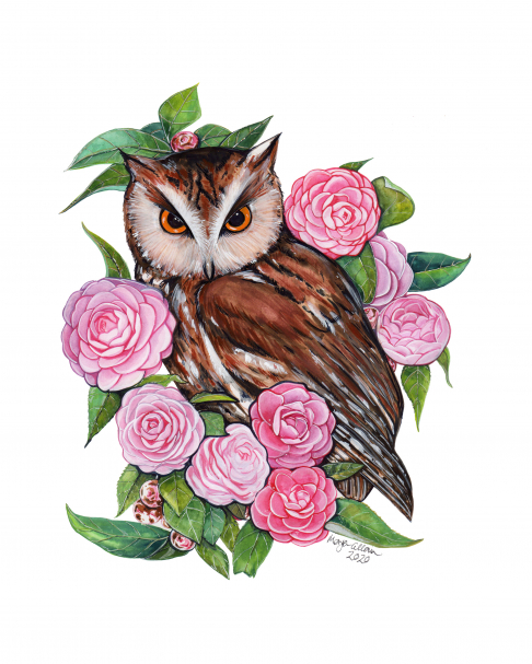 Owl and Camellias