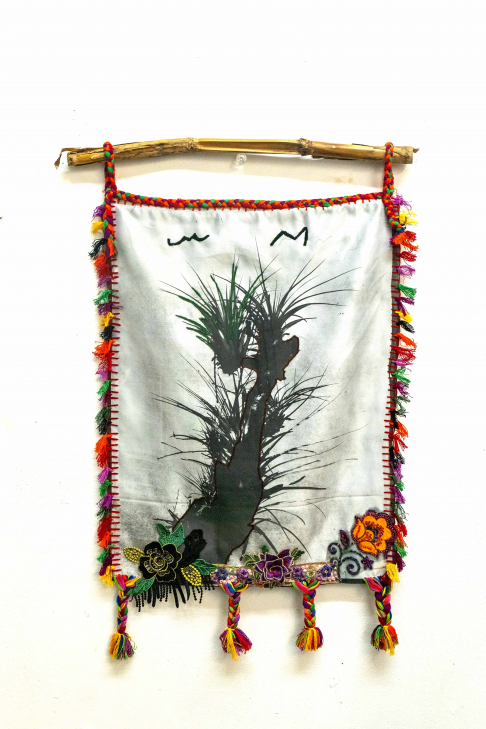 Tillandsia and Birds