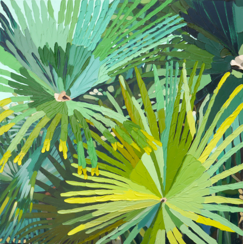 Palmettos