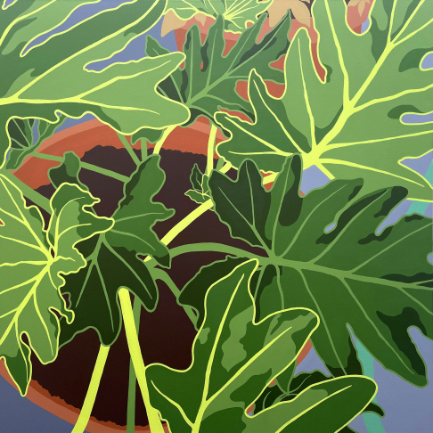 Philodendrons in Terra Cotta #1
