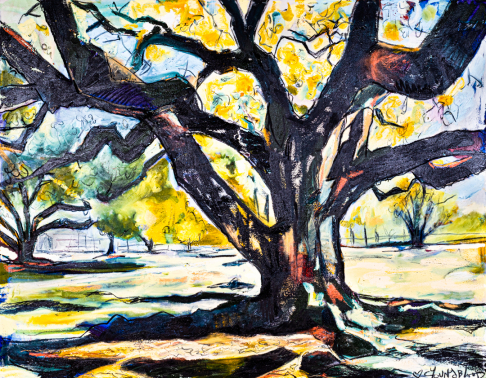 "Louisiana Live Oak Tree/ The Tree of Life"