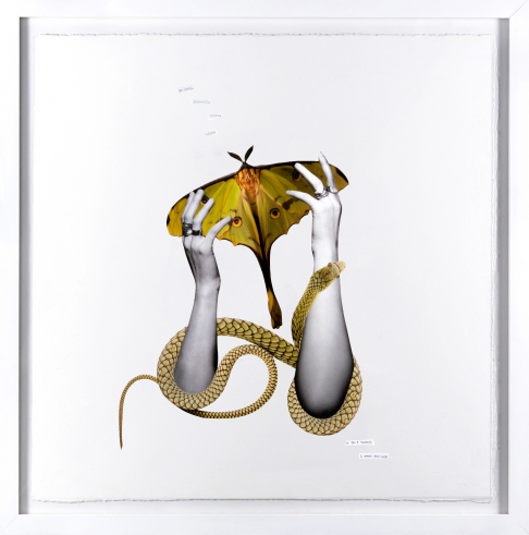 Shedding Season [Original Sold-Prints Available]