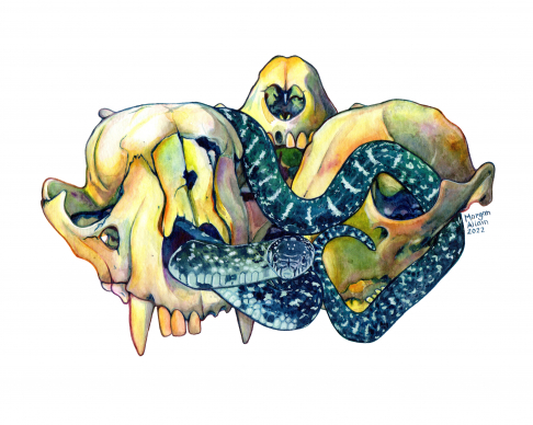 Skulls and Serpent
