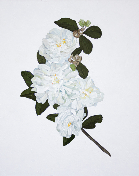 Camellia Botanical Original Painting