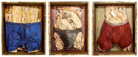 Boxers Briefs Boxer Briefs (Triptych)