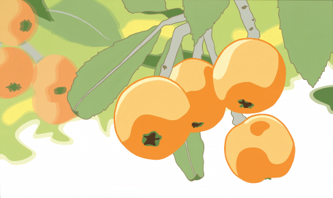 Japanese Plums