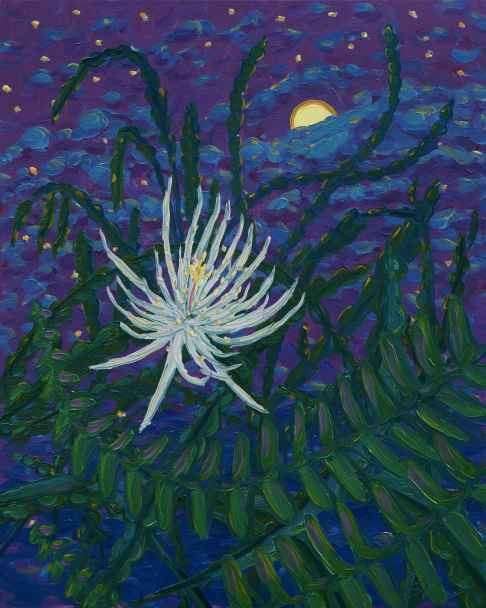 Night Blooming Cereus Study #2