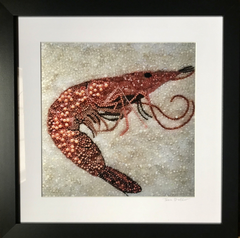 Pink Shrimp ~  Metallic Lustre Fine Art Print