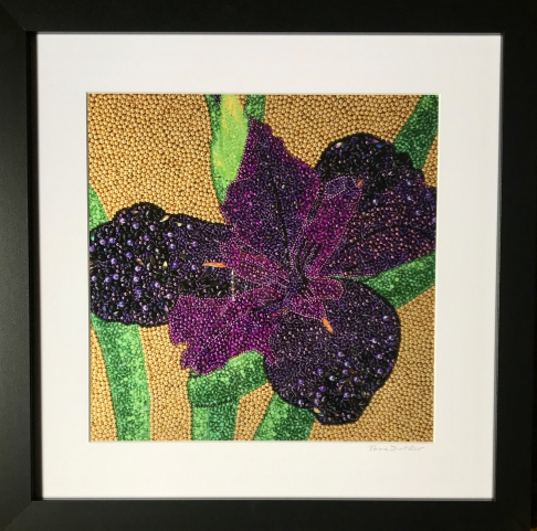 Louisiana Purple Iris ~ Metallic Lustre Fine Art Print