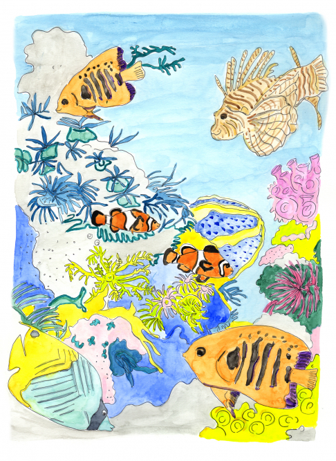 Lionfish & Coral