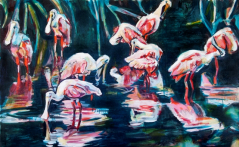Louisiana Roseate Spoonbills in their Sanctuary