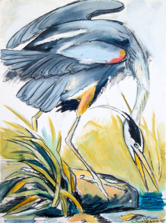 "Louisiana Blue Heron Catching Fish Study on Oil Paper"