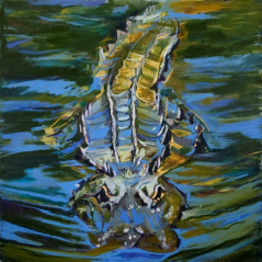 "Louisiana Alligator Under the Water"