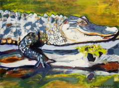 Louisiana Alligator on a Log in the Green Bayou