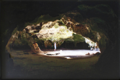 Aruban Cave