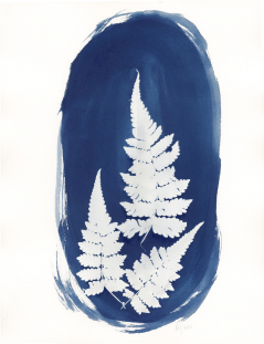 Banquette - Ferns