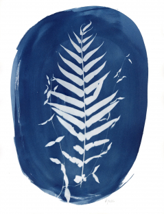 Banquette - Ferns & Cats Claw