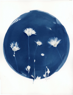 Banquette - Flowers