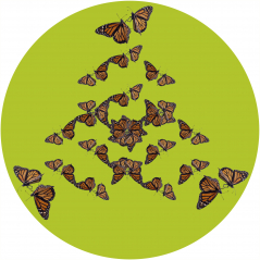 Monarch Triangle