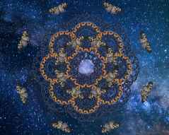 Butterfly Tessellation Look & Breathe Series 3 Blue Moon Monarch