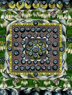 Blueberry Medicine Mandala