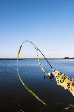 Fishing With Caution