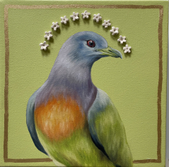 Pink-Necked Green Pigeon Icon II